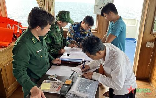 Bộ đội Biên phòng TP Hồ Chí Minh tạm giữ phương tiện vận chuyển dầu trái phép